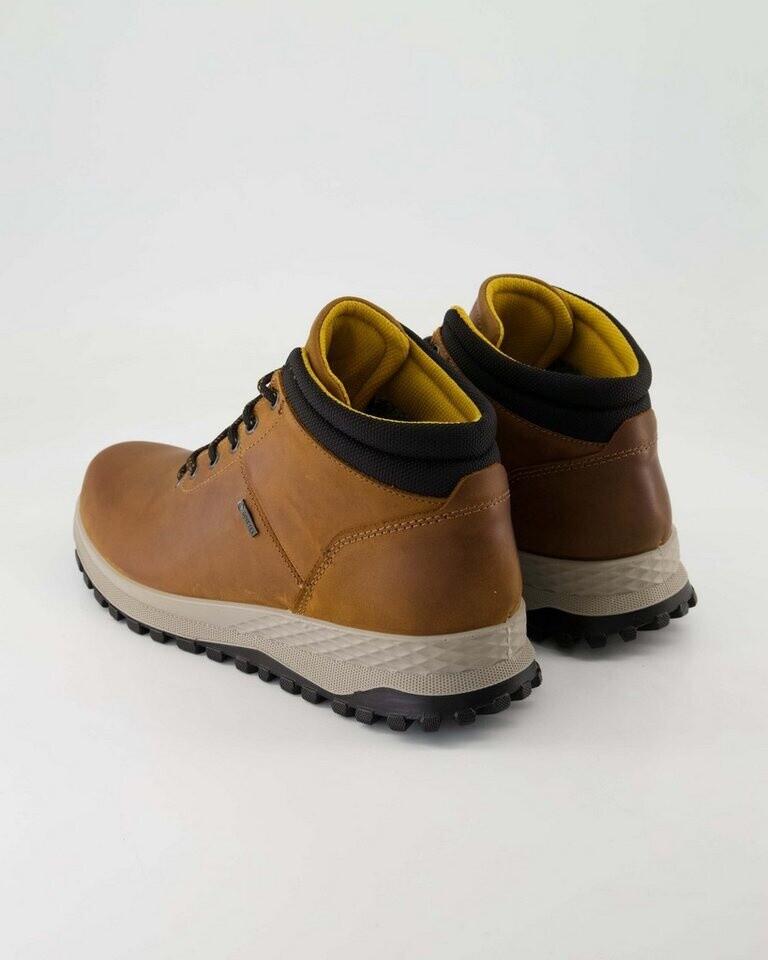 Ботинки Igi&co U EOLO GTX braun