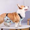 New Ins Dog Apron Anti-cold Clothes Warm Method Bucket Raincoat Pet Waterproof Bib Cotong Printing Designer Dog Clothes