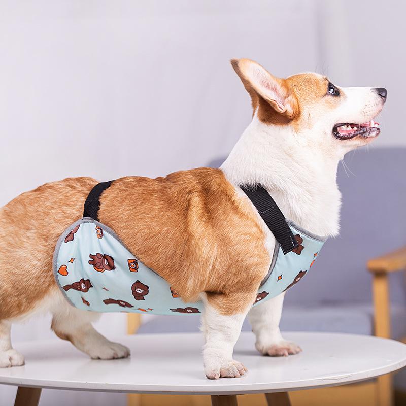 New Ins Dog Apron Anti-cold Clothes Warm Method Bucket Raincoat Pet Waterproof Bib Cotong Printing Designer Dog Clothes
