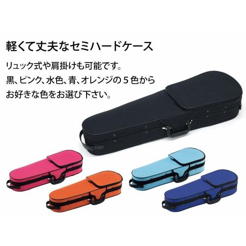 Carlo Giordano VS-1 4/4 Violin Set