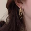 Ear Accessory Women's Drop Earrings Metal Dangle Earrings Tassel Geometric Earrings  Wedding