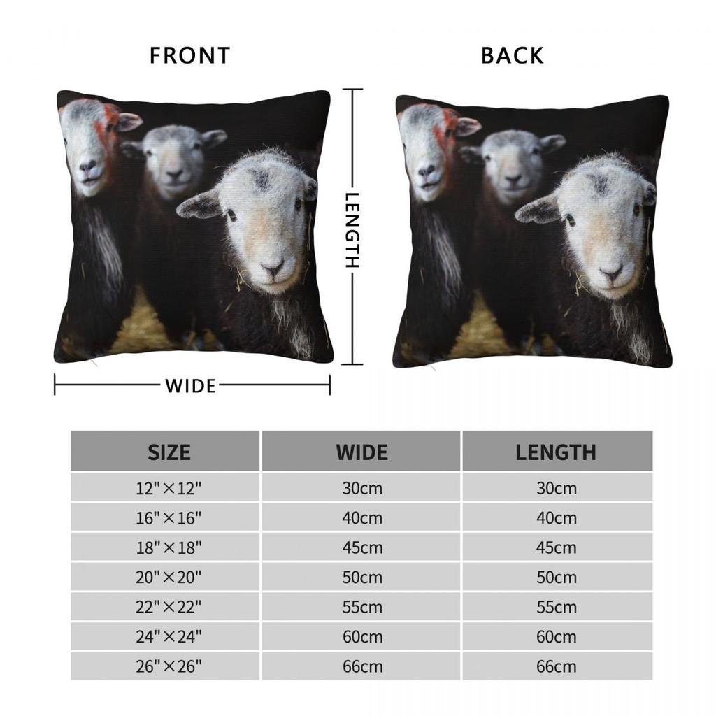 Federa Quadrata con Pecore Herdwick in un Fienile Cumbria Poliestere Lino Velluto Fantasia Zip Decorata Federa per Cuscino da Lancio Custodia per Cuscino da Stanza