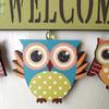 Rural Style Home Decor Creative and Personalized Owl Welcome To The Wall Hanging