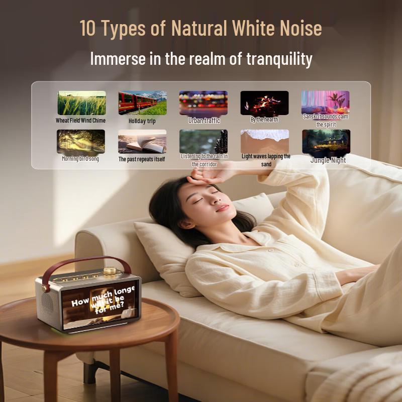 Newsmy KK09 Portable Bluetooth KTV Speaker CN plug (adapter included)