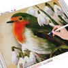 5D diamantmaleri Bird Diamond Mosaic Animal Full Round Diamond Brodery Sale Bilde