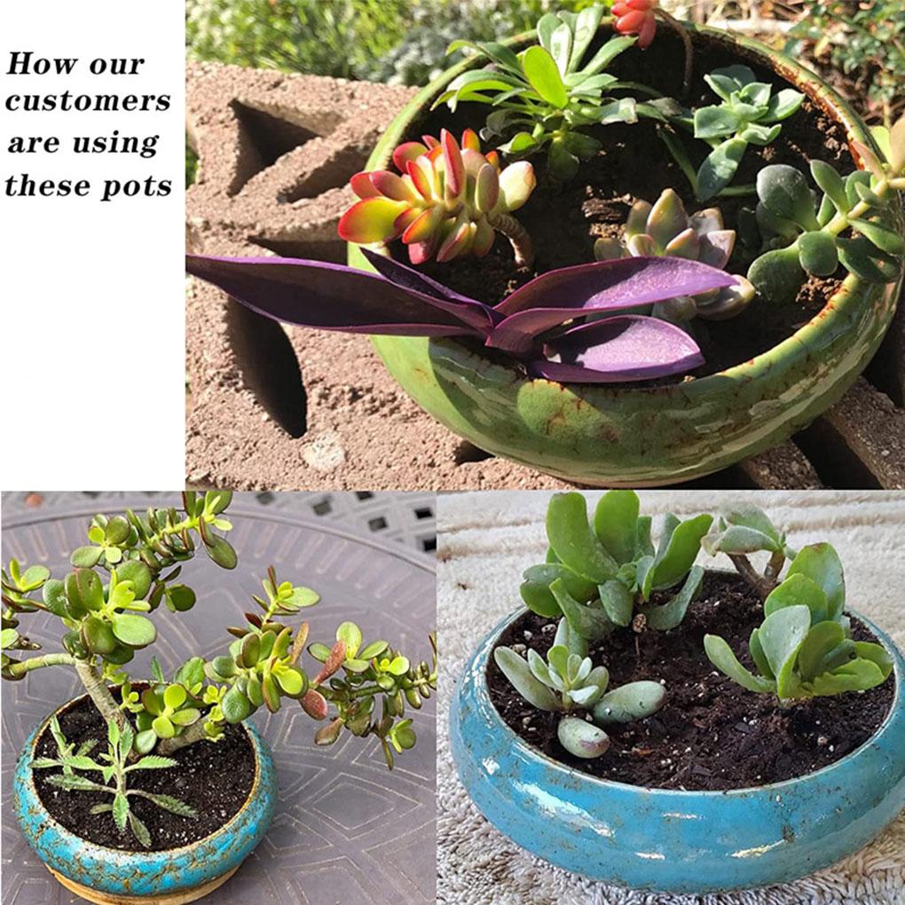 Ceramics Large Round Juicy Planter Bowl Flowers Herbs And Vegetables Flower Plant Container For Home