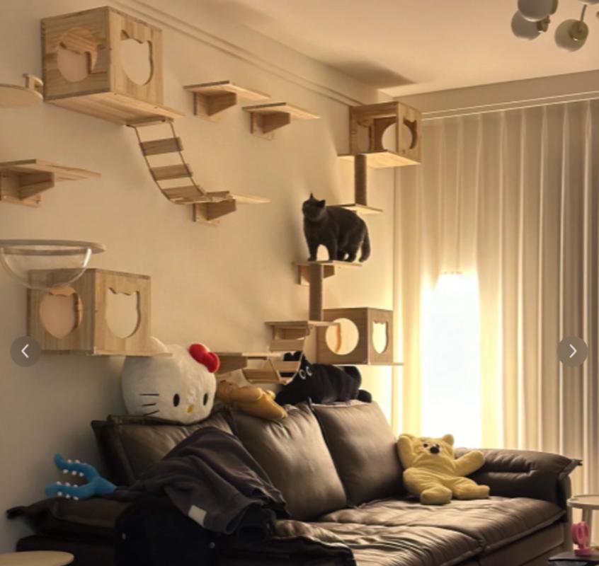 Cat wall furniture climbing frame Wall-mounted cat ladder Pet home furnishings set Sisal ladder for sharpening claws