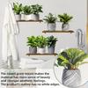 3 stk./Sæt Kunstige Grønne Planter Potteplante 3D Vægklistermærker Stue Kontor Dekoration Vandtætte Selvklæbende Klistermærker