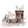 Halloween Dark Animal Skeletons For Haunted House Decor