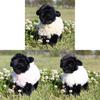 Jucărie Oaie de Pluș Păpușă Animal Umplută cu Bumbac PP Pentru Copii și Fete