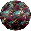 The Croods Theme Size 5 Soccer Ball, Suitable for Both Indoor and Outdoor Matches, a Gift Suitable for Everyone.