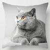 Süße Katze Umarmungskissenbezug Haustier Interaktive Illustration Kissen Heilende Heimdekoration Sofakissen