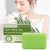 Sapone all'Olio di Tea Tree 100g Detergente Naturale per il Corpo alle Erbe Cura della Pelle Idratante