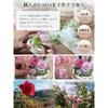 Preserved Flowers Birthday Flower Gift Angel-shaped Glass Dome with Special Box Light Purple Pink