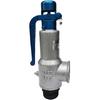 Cast Iron Spring Low Lift Safety Valve