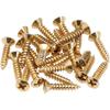 Fender Parts Pickguard/Control Plate Mounting Screws (24) (Gold) 994924000