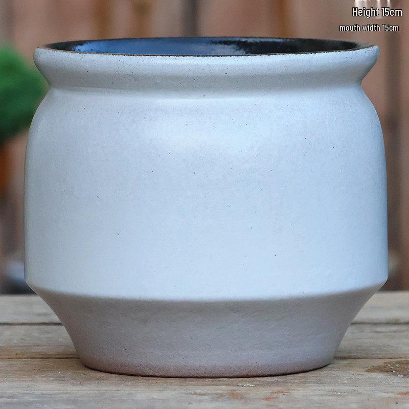 Handmade Coarse Pottery Tall Flower Pot for Succulents and Green Plants – Breathable Ceramic Jar for Bird of Paradise & Bougainvillea