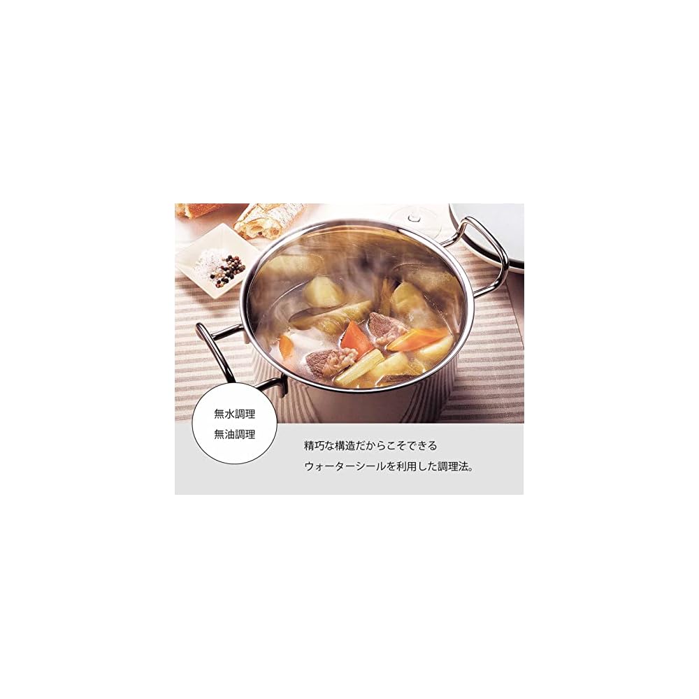 Miyazaki Seisakusho Geo Double-Handled Pot 20cm Made in Japan IH Compatible All Heat Source