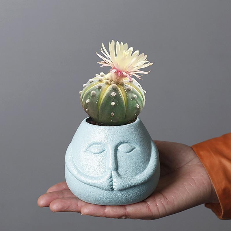 Funny Cute Cartoon Succulent Flowerpot Handicraft Unique Green Plant Pot Ceramic Pot Home Decor