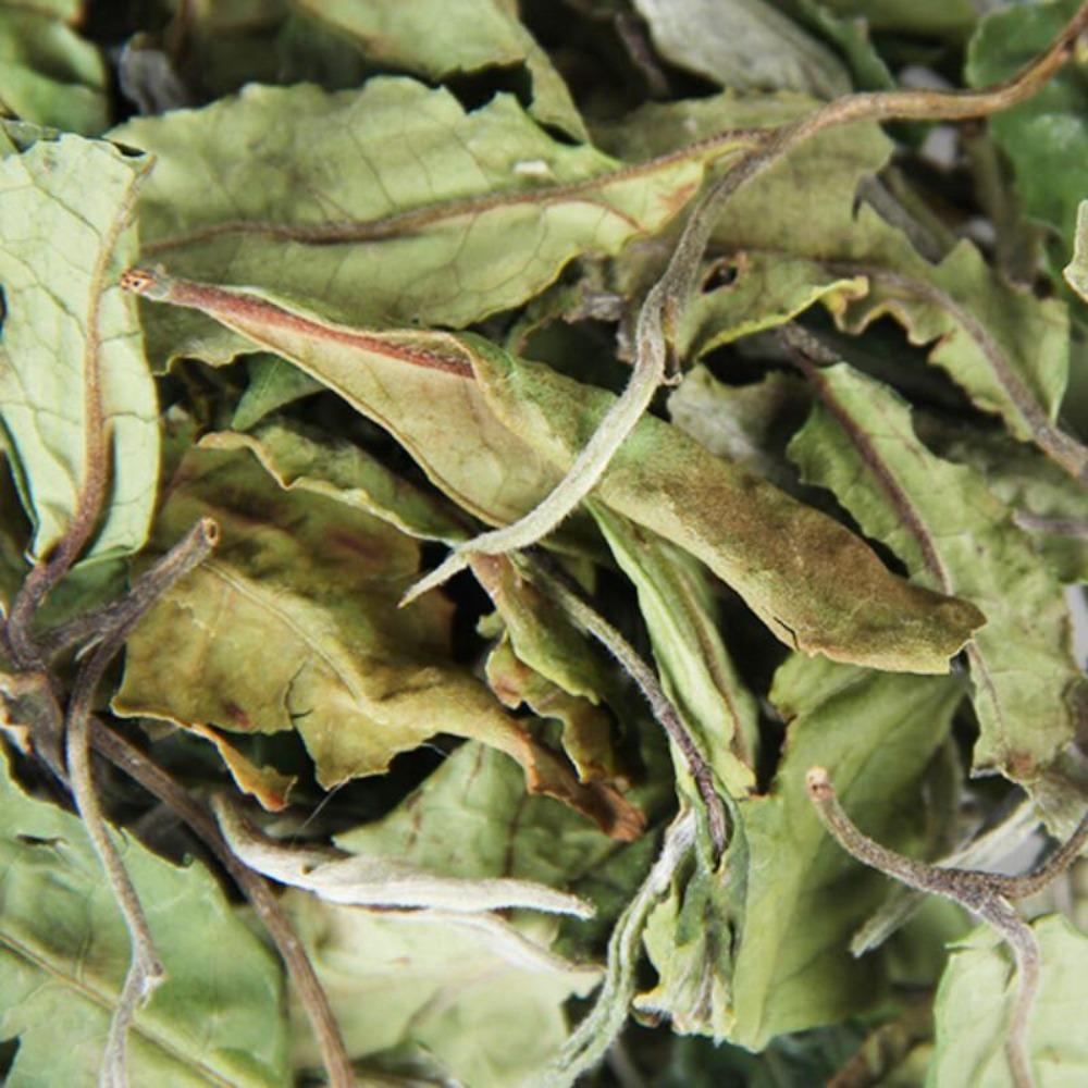 Organic Yunnan White Tea 500g Large Leaf Honey Flavor Bulk Loose Tea