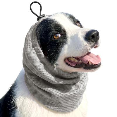 Roupa e sapatos – Acessórios para cães
