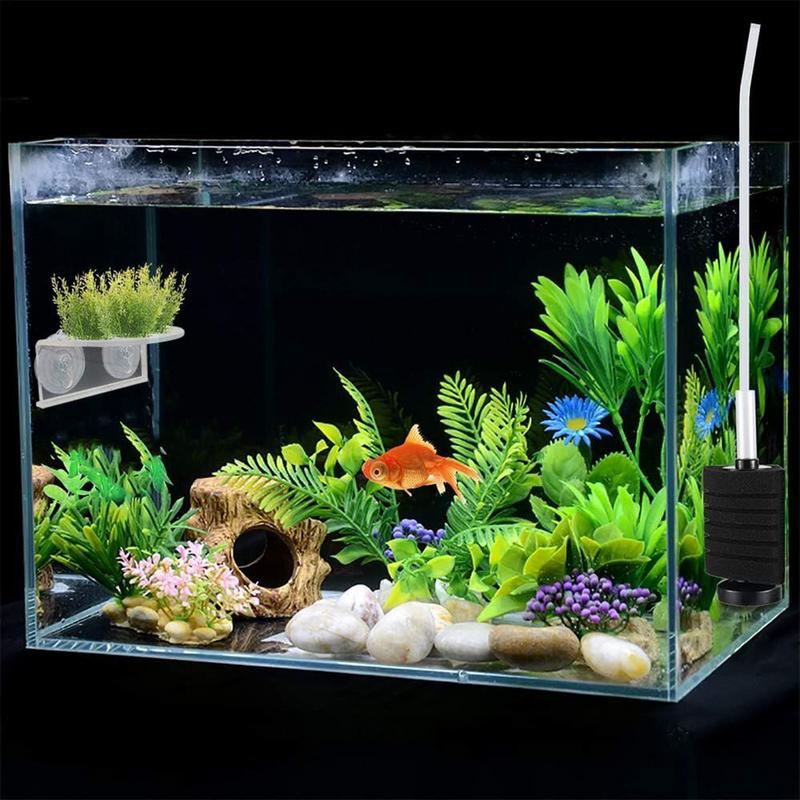 Aquarium Plant Holder Suction Acrylic Ledge Aquatic Grass Shelves Compact Transparent Aquarium Plants Rack For Fish Tank Window