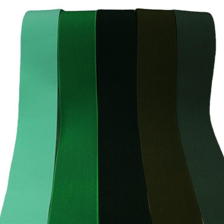 Polyester Imitation Nylon Elastic Webbing with Spot Color Processing - Clothing Accessories Rubber Band