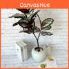 Ochrosia Maculata Jacq Tree Synthetic Greenery For Indoor Home Office Decoration And Photography
