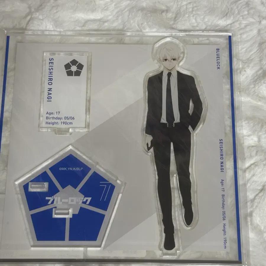 

Blue Rock Наги Сейширо Продает Акриловые Костюмы