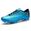 Soccer Shoes Low-top Indoor and Outdoor Soccer Shoes Men's Long and Short Nails FTSG Shredded Nails Training Bottom Soccer Shoes