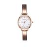High-End Women'S Bracelet Watch Fashion Light Luxury Bracelet Type Exquisite Waterproof Steel Belt Quartz Watch