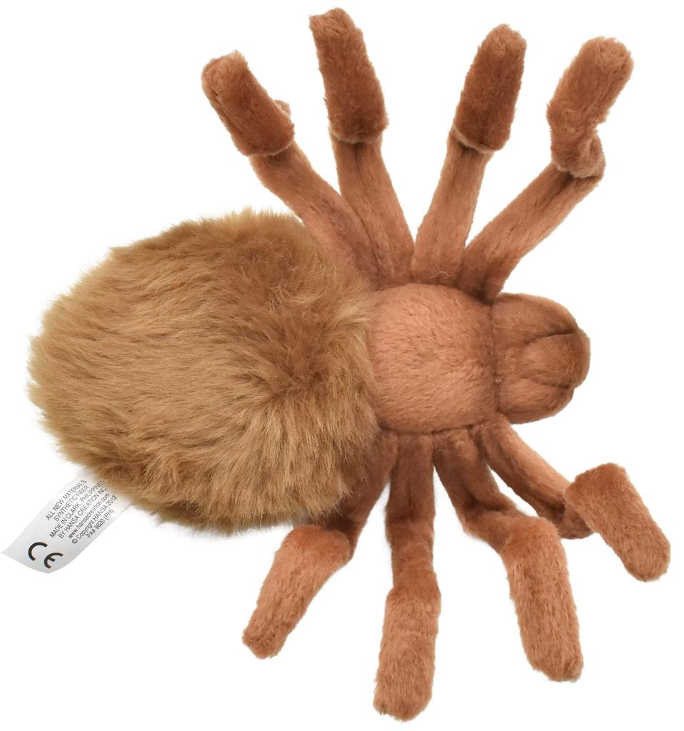 BH8488 HANSA Hnědá tarantule 19