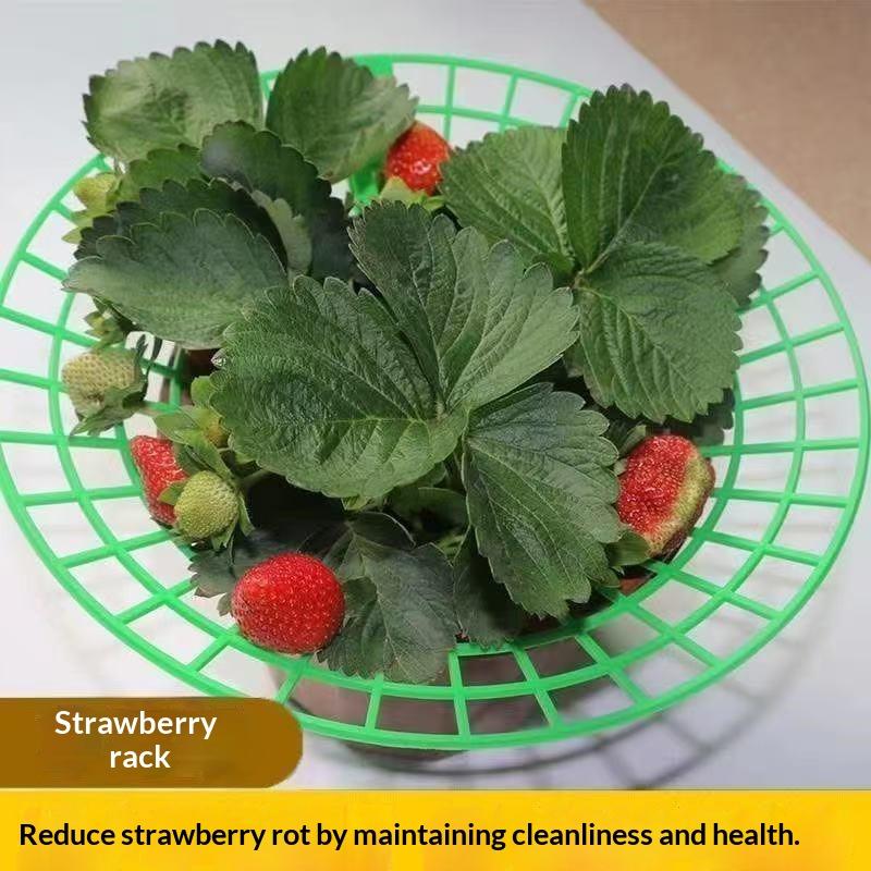 10Pcs Durable Watermelon Support Rack 3-Legged Reusable Strawberry Planting Holder Plant Protector for Farm Vegetable Growing