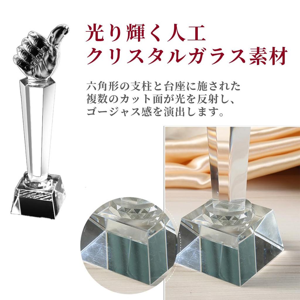 EINEY Mini Trophy, Perfect for Sports Tournaments, Awards, Celebrations, and As a Funny Prize or Humorous Item. Small Winner's Cup (26cm)