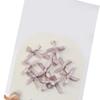 Fashionable Ribbon Bow Nail Adornments Easy to Apply and Remove Perfect for Parties Dates and Weddings