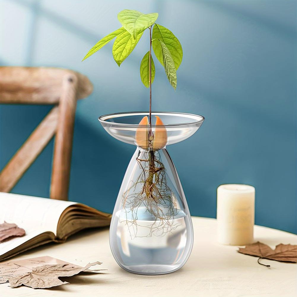 1/4PCS Avocado Hydroponic Vase Transparent Glass Avocado Tree Flower Vase Glass Planter Gardening Lovers Home Decor