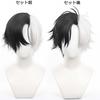 Black and White Short Full Anime Character with Perfect for Comic Market School Cultural and Stage Performances Wig, Cosplay, Heat-Resistant, Net,
