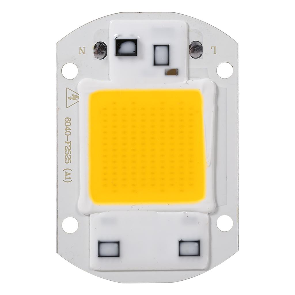 1Pc 220V 20W White High Power Integrated LED Floodlight COB Chip Lamp (20W White)