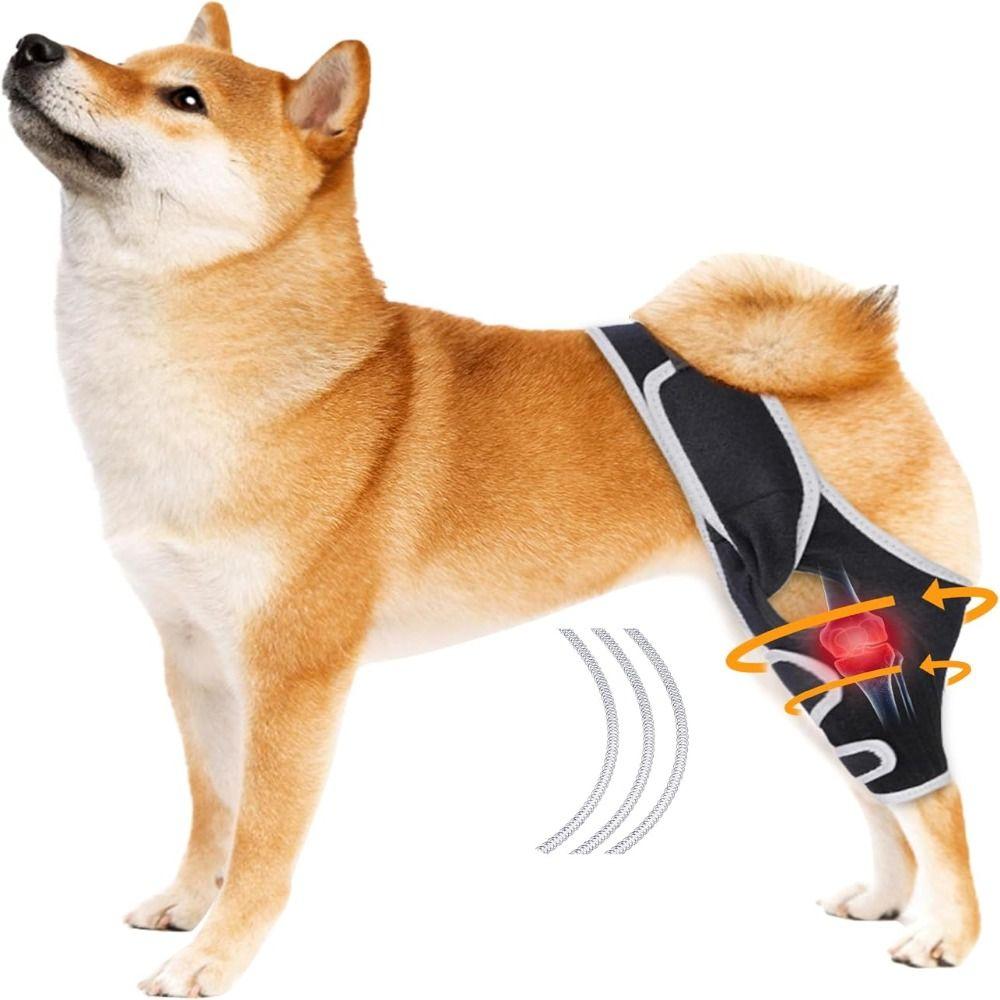 Durable Leg Support Bracket Adjustable Pet Knee Wound Protection  for Hind and Front Legs