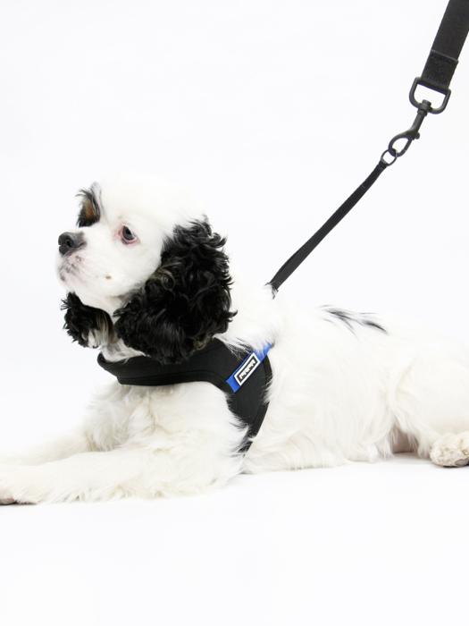 KINIKINI KINI SIGNATURE HARNESS-BLACK/BLUE (Harness) L