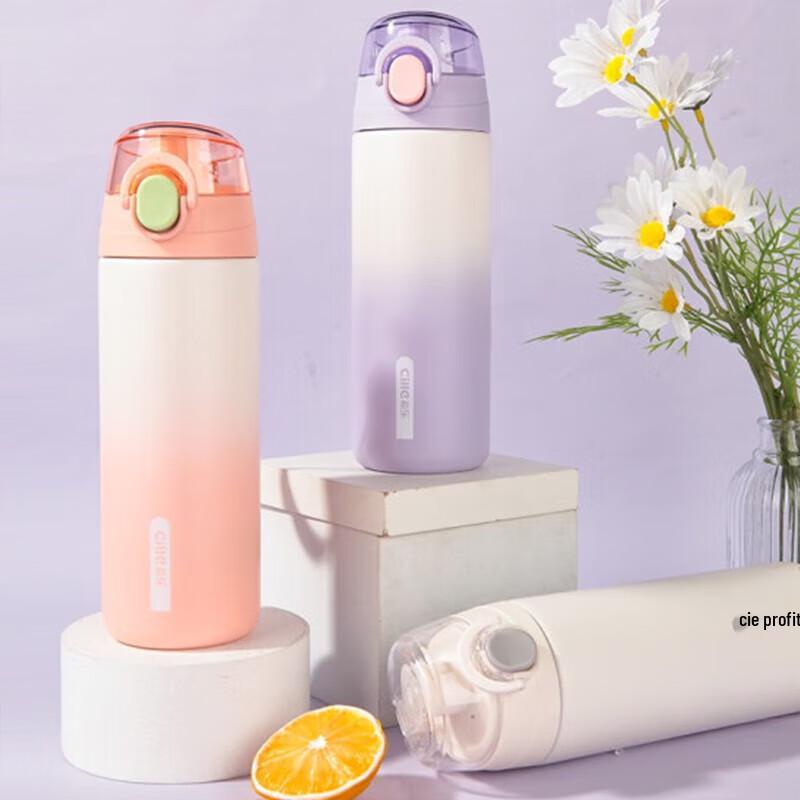 cille XB-23122 316 Stainless Steel Insulated Bottle