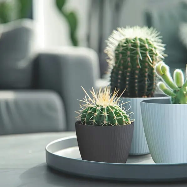 Anthracite Plastic Flowerpot 138x115 Cm Striped Cover for Lamia Flowers