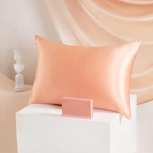 Jmg Clothing Unisex 100% Natural Mulberry Silk Pillowcase 19Mm With Hidden Zipper Suitable For Hair Real Silk Pillow Case With Oeko-Tex
