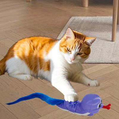 חתולים – צעצועים לחתולים