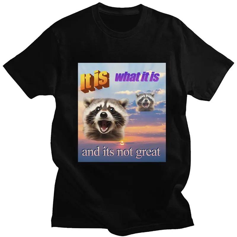 I Am Trying My Best Raccoon Meme T Shirt Funny Print Men Women Tshirt Leisure Fashion Short Sleeve T Shirts Graphic T Shirts