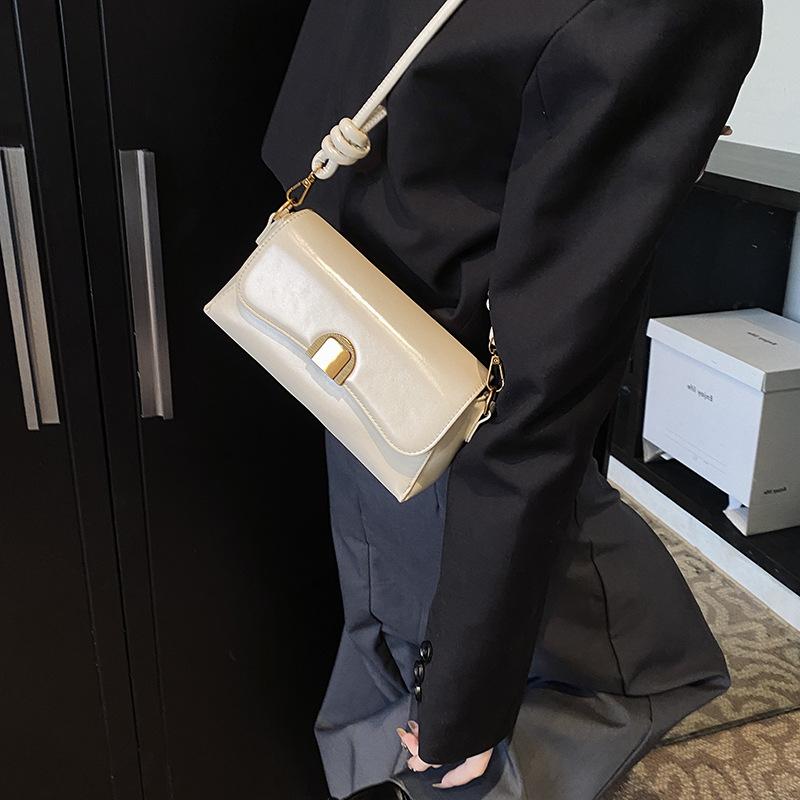 High-end Fashion Trendy Underarm Bag Women's 2025 Winter New Simple Casual Shoulder Small Square Bag Niche Messenger Bag