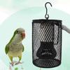 Reptile – Terarii pentru reptile