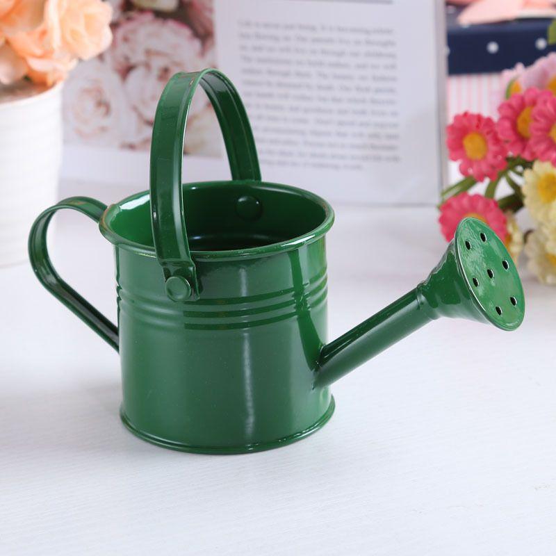 Flower Kettle Mini Water Spraying Metal Pot Watering Bottle Home Garden Decor