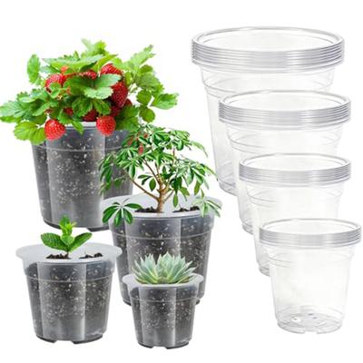 Vasos e caixas para jardim – Recipientes para mudas