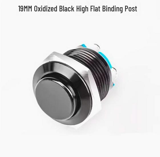 19mm/22mm Full Oxidation Metal Button Switch - Screw/Solder Terminals, Multi-Color, Self-Reset Momentary Power